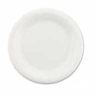 Foam Plates - Large